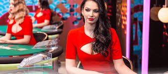 83r.fun Live Casino VIP Table Myanmar Cashback Bonus Special Promotion
